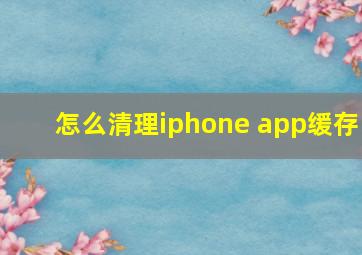 怎么清理iphone app缓存